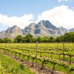 Urban Safari in Cape Town - FAQ