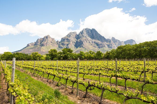 Urban Safari in Cape Town - FAQ