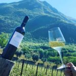 Valdadige: Winery Tour with 4 Wine Tastings - The Guided Tour: What You’ll Experience