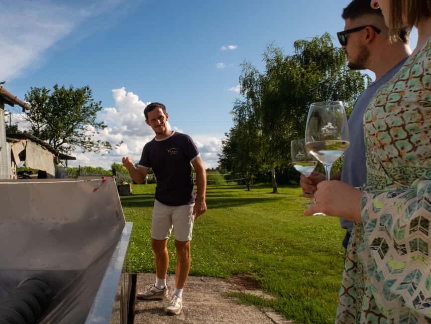 Valdobbiadene - Visit to the winery and tasting of DOCG Superiore wines - The Sum Up