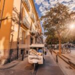 Valencia: 2-hour City Highlights Guided Tour by Tuk Tuk - Detailed Breakdown of the Tour