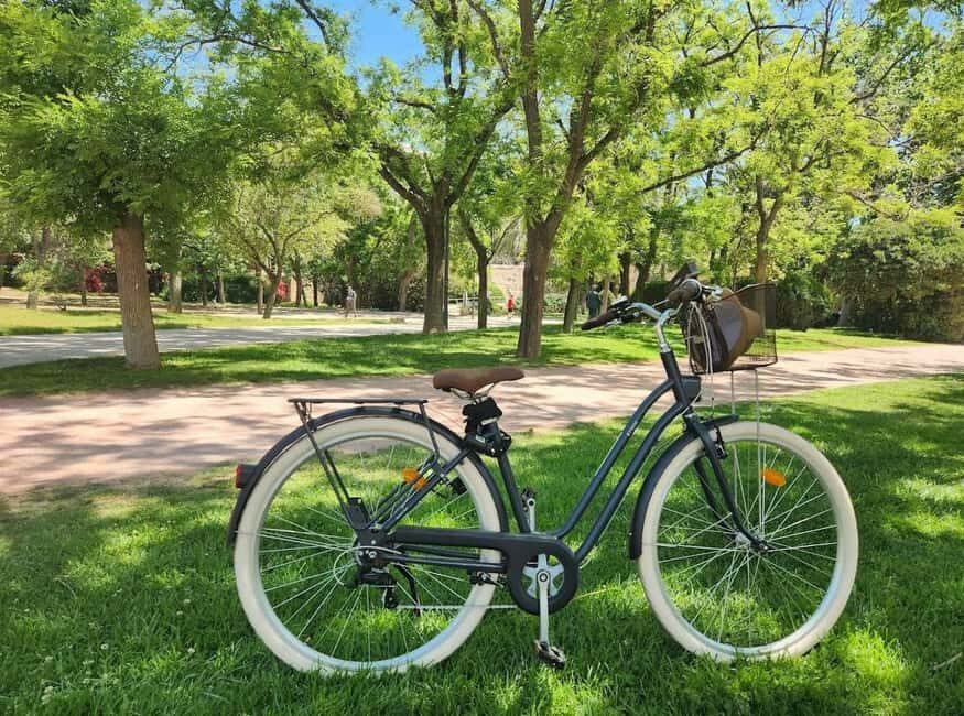 Valencia: 24-Hour Bike Rental - The Value of a 24-Hour Rental