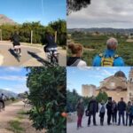 Valencia: Orange Grove Bike Tour with Monastery Visit - Practical Details and What to Expect