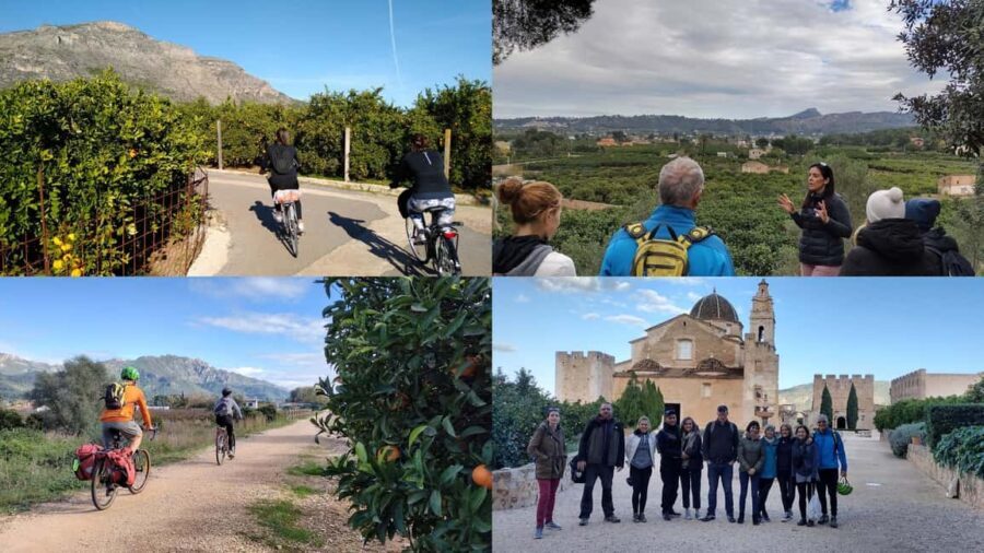 Valencia: Orange Grove Bike Tour with Monastery Visit - Practical Details and What to Expect