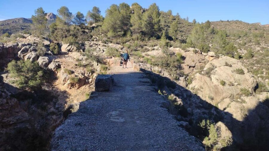 Valencia: Peña Cortada Aqueduct Guided History Hike - Who Would Love This Tour?
