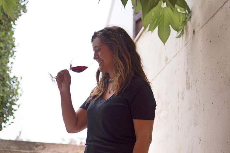 Valencia: Vineyard Tour, Local Wine Tasting and Appetizer - Who Will Love This Tour?