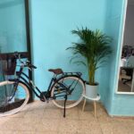 Valencia Volt Bike Rental: 4-Hour Bike Rental - Is This Bike Rental Worth It?