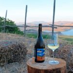 Valle del Belice: Informal and authentic tasting of artisan wines - Who Might Not Find It Suitable?