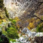 Valley & Garden - What Travelers Love About This Tour