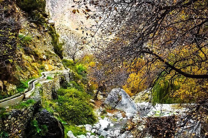 Valley & Garden - What Travelers Love About This Tour