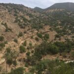 valley of paradise - What You Can Expect from the Tour