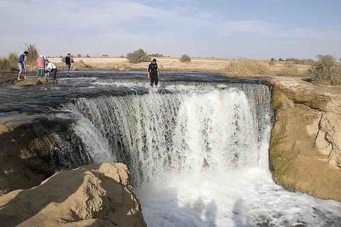 Valley of whale's & Al Fayoum by jeep 4*4 - private Desert full Day Trek - Cairo - Authentic Experiences Reported by Travelers