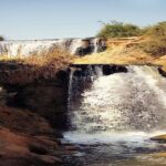 Valley of Whales and Wadi El Rayan Water Falls Day Tour from Cairo - What to Expect from the Tour Experience