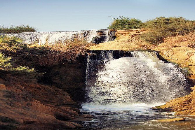 Valley of Whales and Wadi El Rayan Water Falls Day Tour from Cairo - What to Expect from the Tour Experience