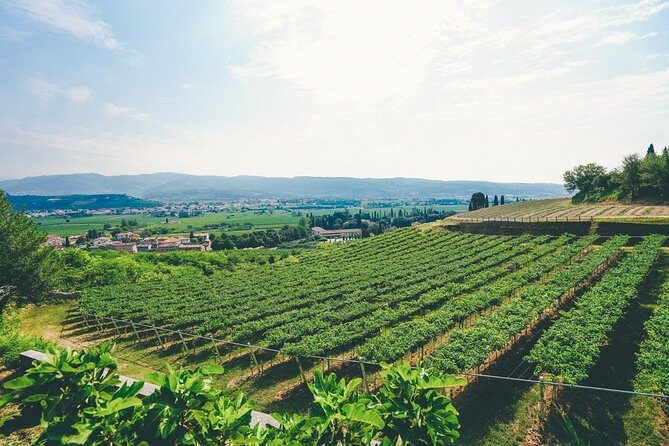 Valpolicella and Amarone Wine-tasting Tour from Verona - Practical Details & Considerations