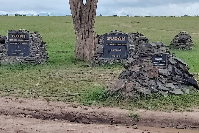 Vegans special safari - Price and Value