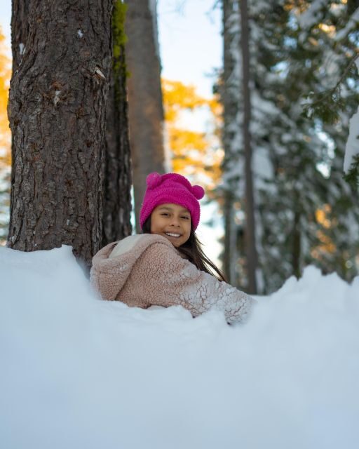Vegas Winter Adventure: Mt. Charleston Snow Day - Who Should Consider This Tour?
