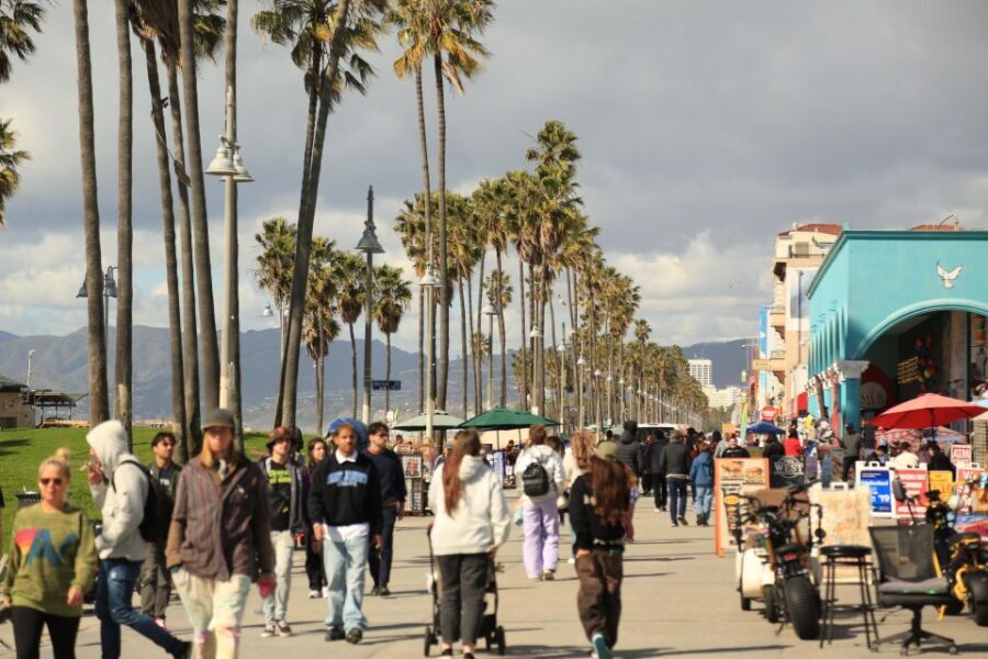 Venice California: Half Day Tour in Open Air Bus - The Value of the Tour