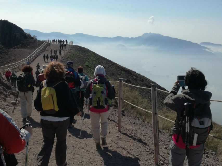 Vesuvius Park Skip-the-Line Ticket + support - Authentic Insights from Travelers