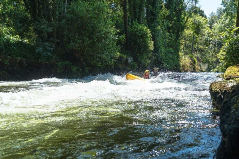 Viana do Castelo: Kayak Adventure on the Lima River - Authentic Feedback from Travelers