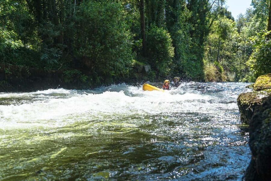 Viana do Castelo: Kayak Adventure on the Lima River - Authentic Feedback from Travelers