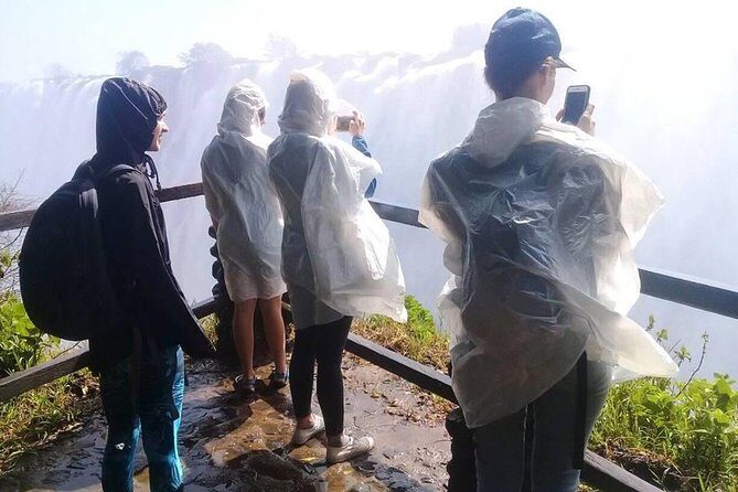 Vicfalls daytrip from Kasane - Time at Victoria Falls—The Main Event