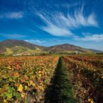 Vienna: eský Krumlov and Wachau Valley Tour - Why This Tour Offers Great Value