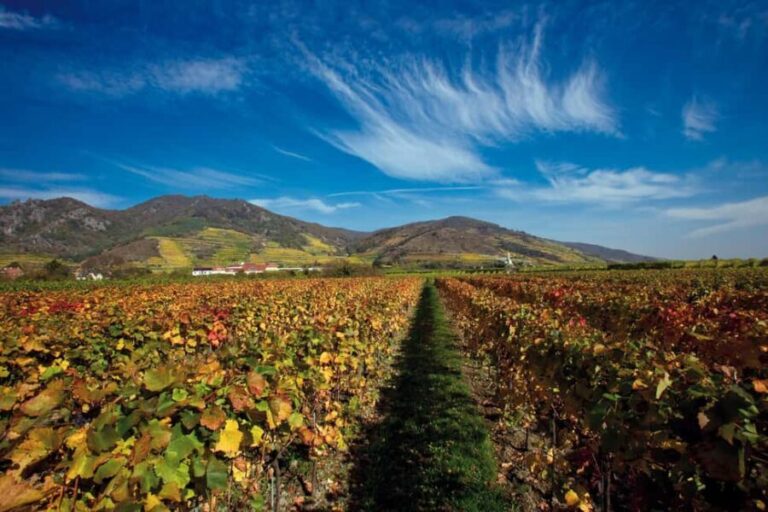 Vienna: eský Krumlov and Wachau Valley Tour - Why This Tour Offers Great Value