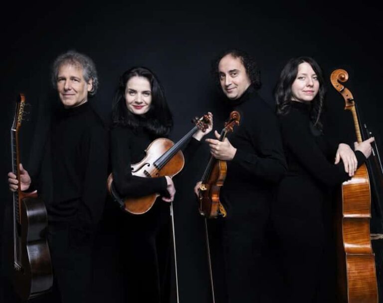 Vienna: Paganini Ensemble in the Vienna Musikverein - Who Will Love This Concert?