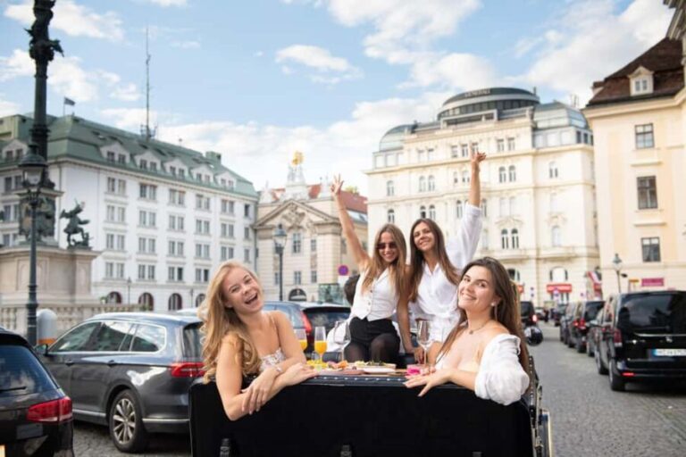 Vienna: Private City Tour and Dinner in a Vintage Car - Who Will Love This Tour?