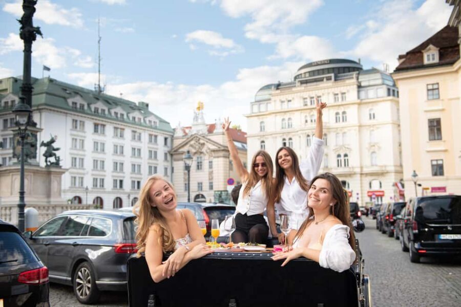 Vienna: Private City Tour and Dinner in a Vintage Car - Who Will Love This Tour?