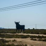 Village Street Market: Santa Pola - What to Expect from the Tour