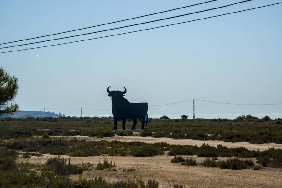 Village Street Market: Santa Pola - What to Expect from the Tour