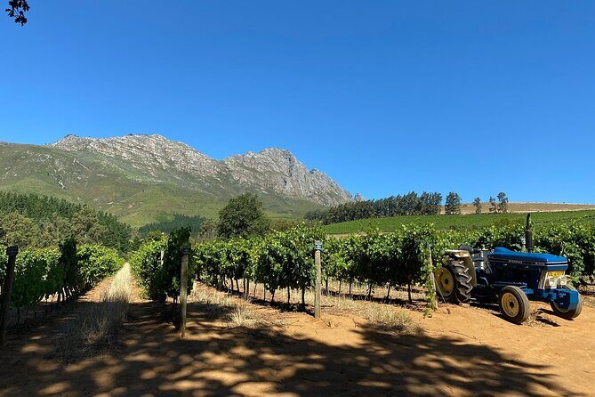 Vine Hopper: Hop-On Hop-Off Wine Tour - Northern Route - What to Expect at Each Stop