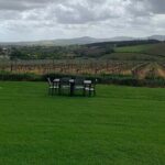 Vine Hopper: Hop-On Hop-Off Wine Tour - Southern Route - A Closer Look at the Vine Hopper Southern Route