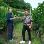 vineyard experience - Wine Tasting and Local Products