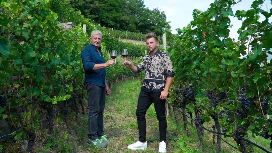vineyard experience - Wine Tasting and Local Products
