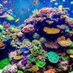 VIP Boat Trip with Diving and snorkeling in Hurghada - Key Points