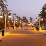 VIP City Tour With Sea Food Lunch Big Mosque & shopping -Hurghada - Why This Tour Offers Great Value