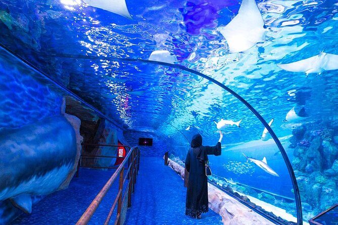 VIP Experience Dubai Aquarium & Underwater Zoo-As per Selection - The Itinerary: What Can You Expect?