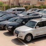 VIP Meet and Assist in Hurghada Airport with Private Transfer - Is This the Right Transfer for You?