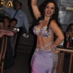 ViP Private Effective Nile River Dinner Cruise in Cairo - Why You Might Love This Experience