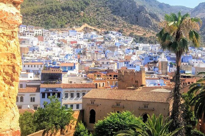 Vip Private Transfer to Chefchaouen from Tangier or Vice Versa - Price and Value Analysis