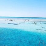 VIP Ras Mohamed and White Island boat trip - Authentic Insights from Travelers’ Reviews
