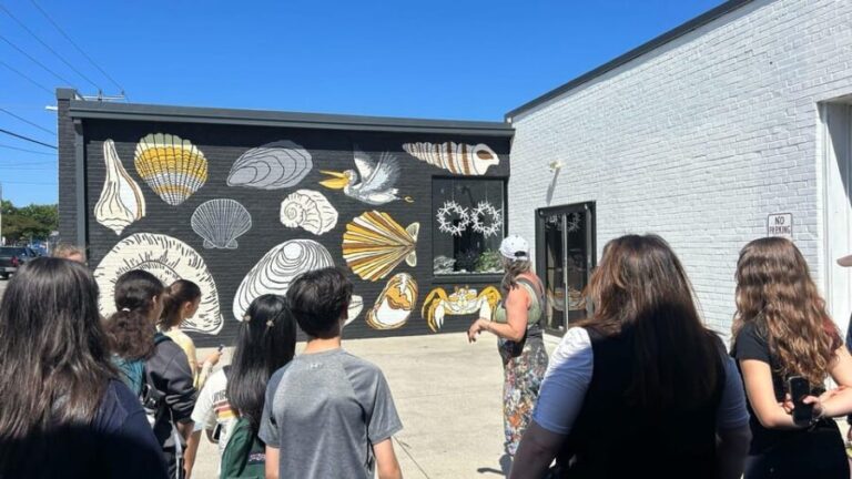 Virginia Beach: ViBe District Guided Walking Mural Tour - Exploring Virginia’s Artistic Side in the ViBe District