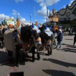 Virtual Tour 360 Video Octoberfest Munich with Wolfgang - Value and Are There Drawbacks?