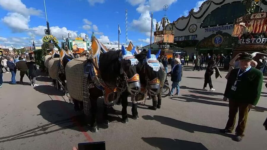 Virtual Tour 360 Video Octoberfest Munich with Wolfgang - Value and Are There Drawbacks?