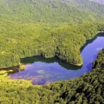 Visit Biograd lake, city Kolasin and Canyon. - Exploring Biograd Lake and Biogradska Gora National Park
