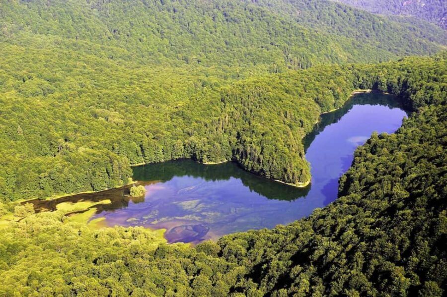 Visit Biograd lake, city Kolasin and Canyon. - Exploring Biograd Lake and Biogradska Gora National Park