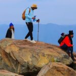 Visit Taif The City of Roses - Is This Tour Worth It? Analyzing the Value